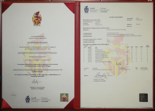 Cardiff Metropolitan University diploma and transcript