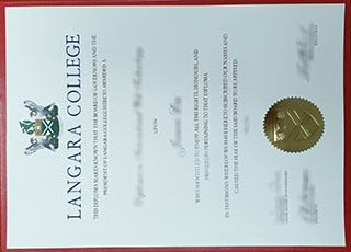 Langara College degree