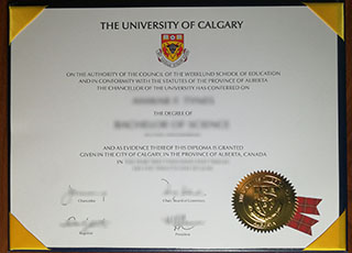 University of Calgary degree