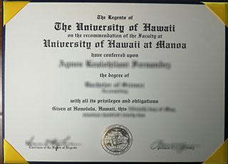 University of Hawaii degree