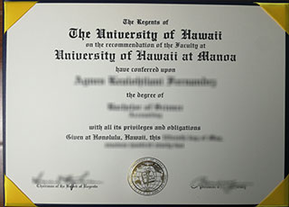 University of Hawaii degree