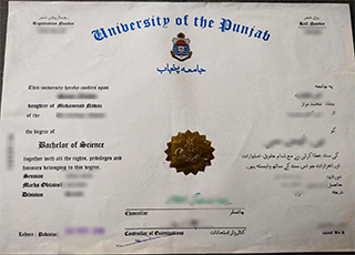 旁遮普大学毕业证