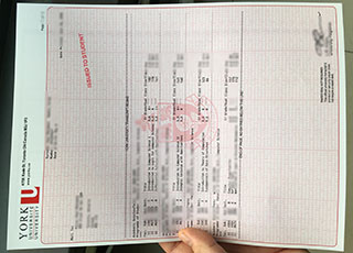York University transcript