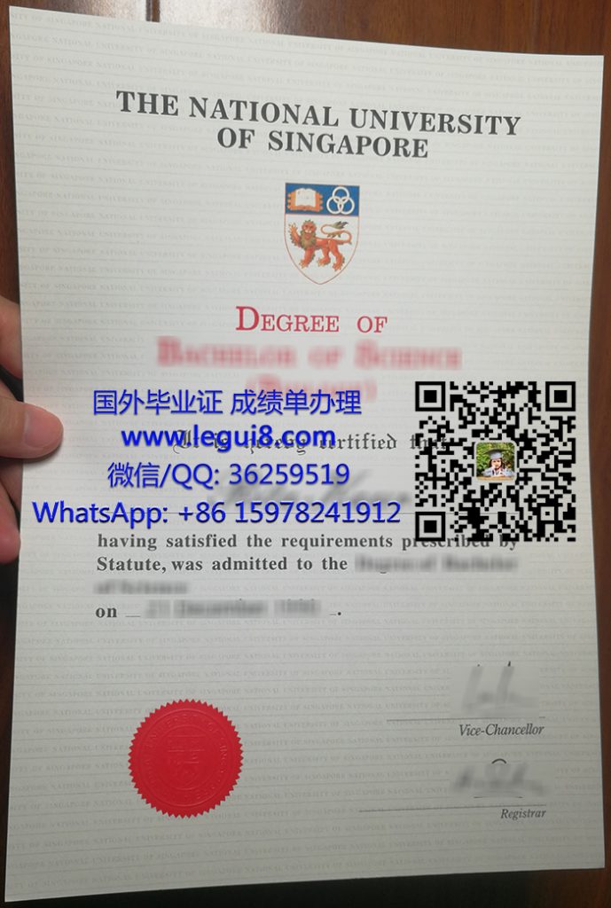 新加坡国立大学毕业证