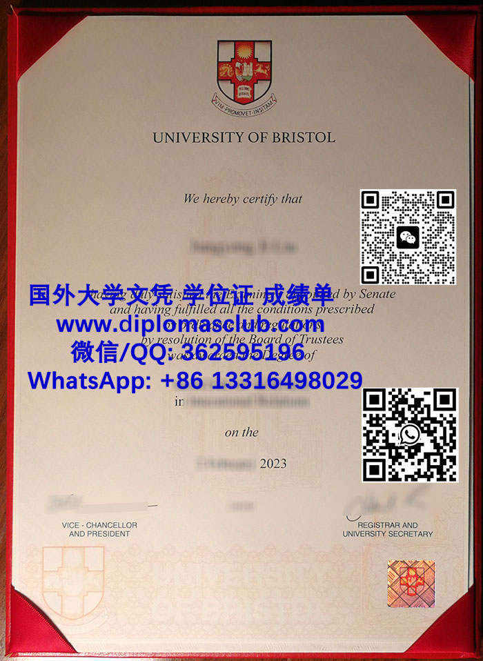 University of Bristol degree
