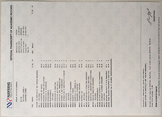 Nanyang Polytechnic transcript