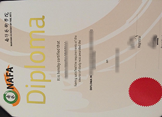 Nanyang Academy of Fine Arts Diploma