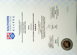 Southern University College