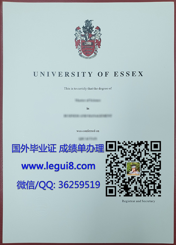 University of Essex degree