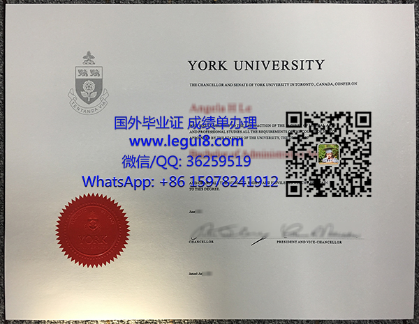 York University degree
