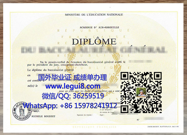 Aix-Marseille Université diploma