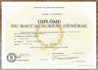 Aix-Marseille Université diploma