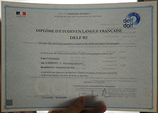 DELF certificate