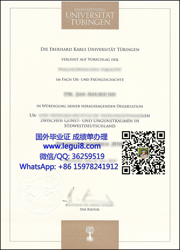 Eberhard Karls Universität Tübingen diploma