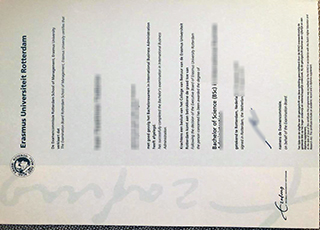 Erasmus Universiteit Rotterdam degree