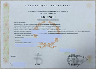 Université de Paris VIII Licence
