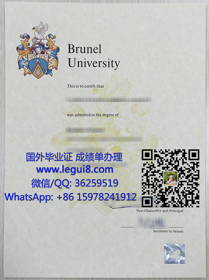 Brunel University degree