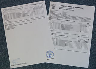 Sheffield university transcript