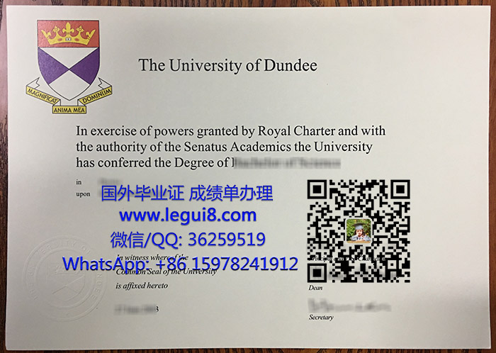 University of Dundee degree