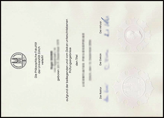 Universität Zürich diploma