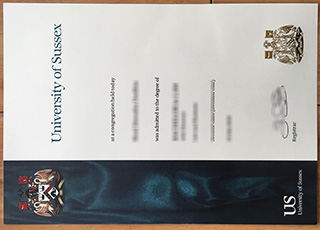 University of Sussex degree