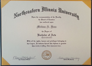 Northeastern Illinois University BA degree