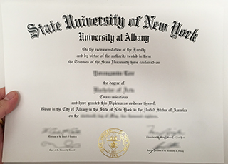 University at Albany SUNY degree