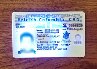 British Columbia Driver Licence