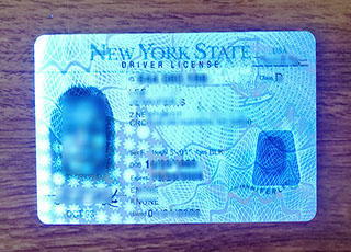 New York Driver License