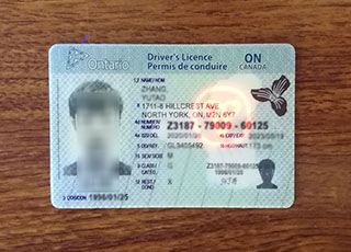 Ontario Driver license