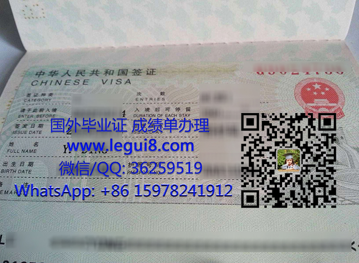 China Work Visa