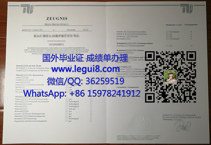 Technische Universität Berlin trancript