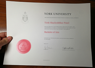 York University diploma