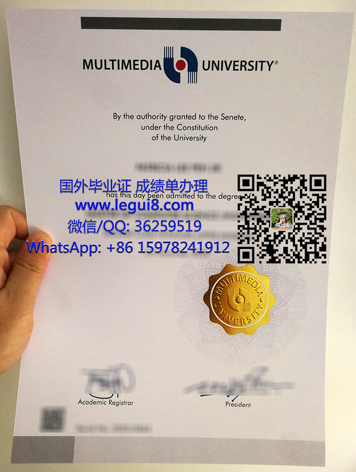 Multimedia University degree