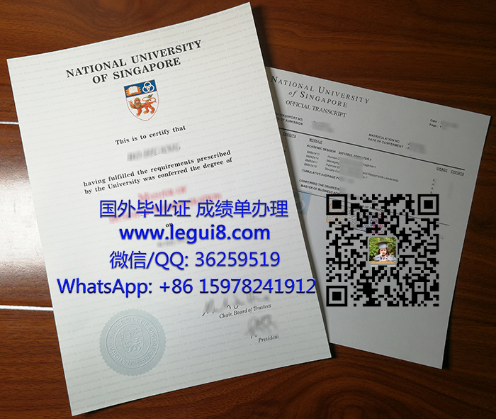 National University of Singapore degree and transcript