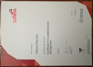 TAFE SA diploma