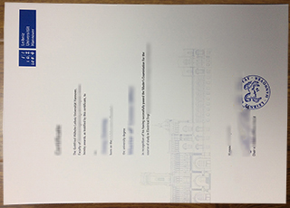 Leibniz University Hannover degree