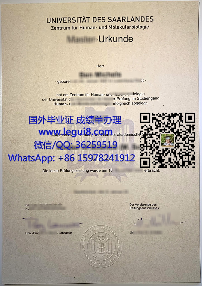 Universität des Saarlandes degree