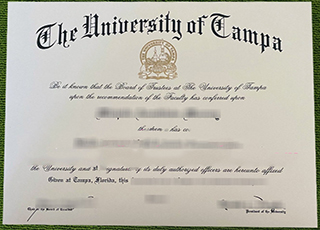 University of Tampa diploma