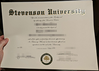 Stevenson University degree