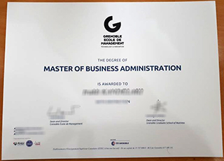 Grenoble Ecole de Management MBA degree