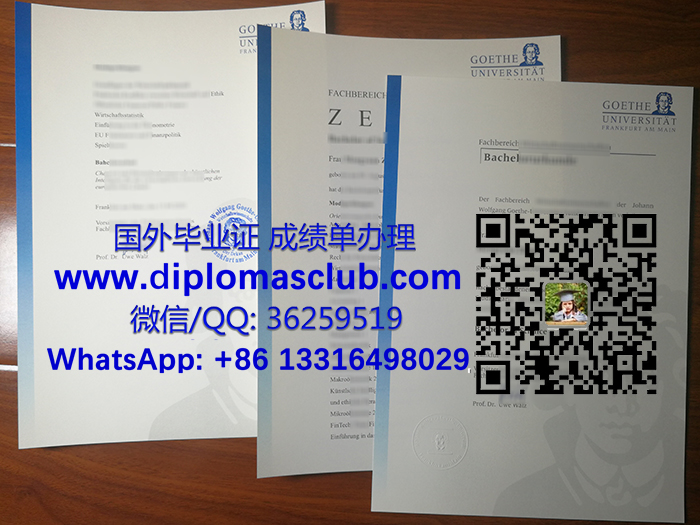 Goethe University Frankfurt degree and transcript