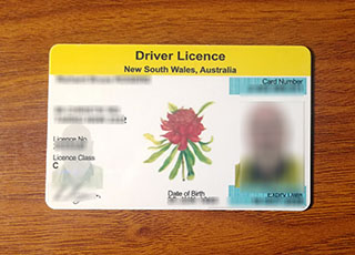 NSW driver licence