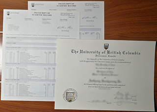 UBC degree and transcript