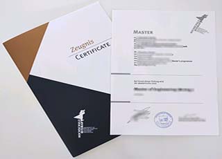 Hochschule Wismar degree