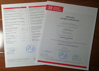 Technische Universität Braunschweig diploma and transcript