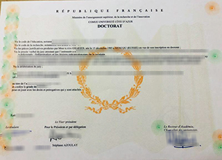 Université Côte-d'Azuri degree