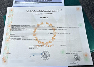 Université Jean Moulin Lyon 3 diploma