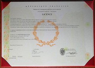Paris Dauphine University diploma