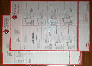 University of Louisiana at Lafayette transcript